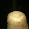 Katerloch_2011_58